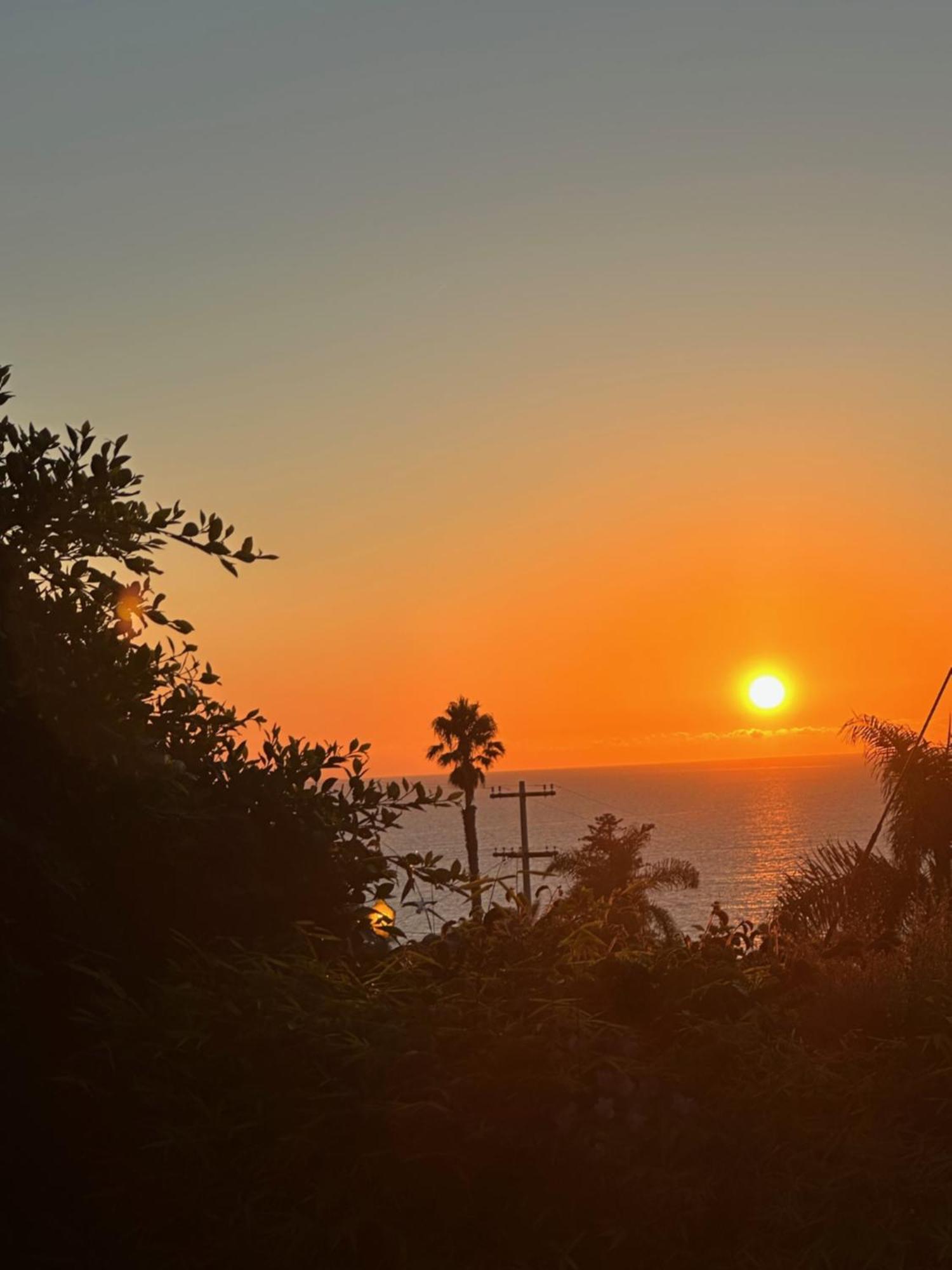 Contemporary Ocean Sunset Views With Firepit Pt Loma Close To Plnu Сан-Дієго Екстер'єр фото